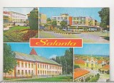 Bnk cp Salonta - Vedere generala - circulata - marca fixa, Printata
