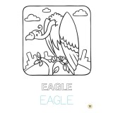Limba engleza - Pasari (colouring book) |