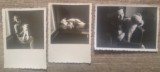 Fetita cu catel// Lot 3 fotografii romanesti interbelice
