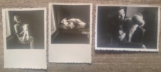 Fetita cu catel// Lot 3 fotografii romanesti interbelice