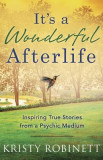 It&#039;s a Wonderful Afterlife: Inspiring True Stories from a Psychic Medium