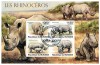 Timbre Burundi 2011: Rinoceri si Colita, Colectie Filatelica, Timbre Straine, Africa