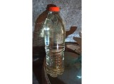 Palinca de Prune ( 2 litri ) de Salaj 52 grade, Tuleu Romanesc 2024, Productie Proprie, Livrare Rapida