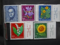 SERIE ELVETIA foto