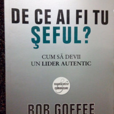 Rob Goffee - De ce ai fi tu seful? (2010)