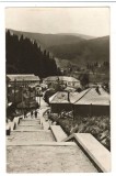 CPI B13873 CARTE POSTALA - BORSEC. VEDERE spre depresiunea BORSECULUI, Circulata, Fotografie