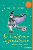 O VRAJITOARE INGROZITOARE ZBOARA LA MARE 4 - Grupul Art
