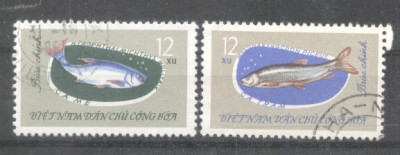 Vietnam 1963 Fishes, used G.001 foto