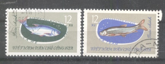 Vietnam 1963 Fishes, used G.001