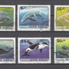 M2 TS6 1 - Timbre foarte vechi - Guineea Bissau - fauna marina