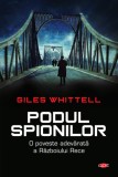 Podul spionilor | Giles Whittell, Litera