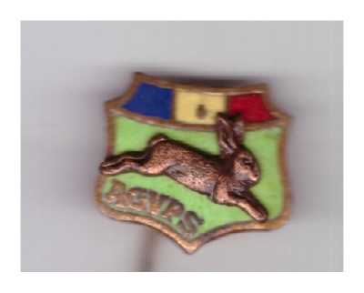 Insigna AGVPS foto