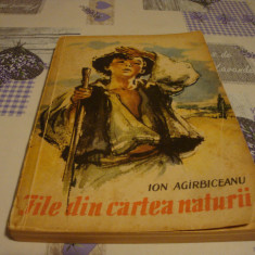 Ion agarbiceanu - File din cartea naturii - ilustratii Coca cretoiu- 1964-uzata