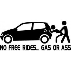 Sticker Auto No Free Rides Polo