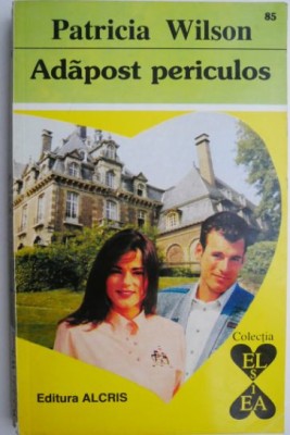 Adapost periculos &amp;ndash; Patricia Wilson foto