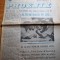 phoenix 16-21 iulie 1990-povestea grupului rolling stones,calul - un vis sublim