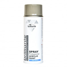 Spray Vopsea Brilliante, Gri Piatra, 400ml