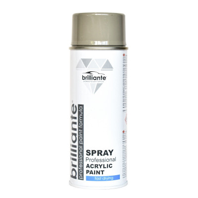 Spray Vopsea Brilliante, Gri Piatra, 400ml foto