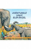 Aventurile unui elefantel - Sa cunoastem lumea inconjuratoare!