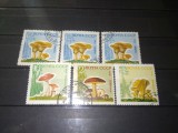 TIMBRE URSS CIUPERCI 1964, Nestampilat