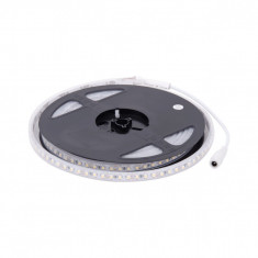 Banda LED 5x60 LED 9.6W/M lumina neutra LN 4000K IP65