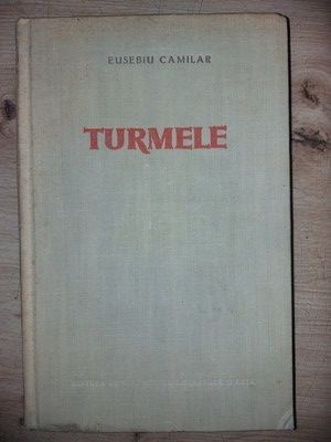 Turmele- Eusebiu Camilar foto