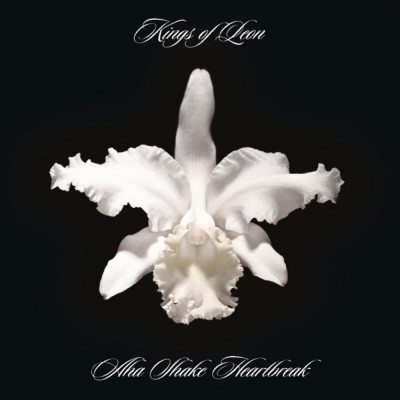 Kings Of Leon Aha Shake Heartbreak reissue (cd) foto