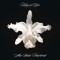 Kings Of Leon Aha Shake Heartbreak reissue (cd)