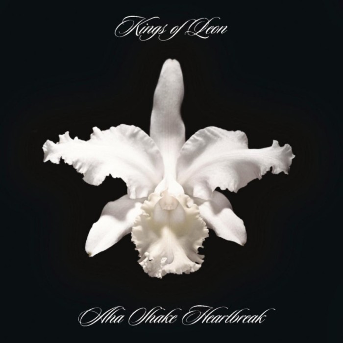 Kings Of Leon Aha Shake Heartbreak reissue (cd)