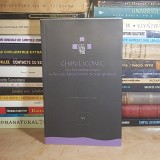 CHIPUL ICONIC : CROCHIURI ANTROPOLOGICE * REFLEXII ALE CHIPULUI MISTICO-TEOLOGIC GHELASIAN ( VI ) , 2017 *