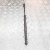 Amortizor Haion Stanga Audi TT 8J3 2012 OEM 8J8827552A AUGER, TRUCKTEC, TRIDON Garantie 12 Luni