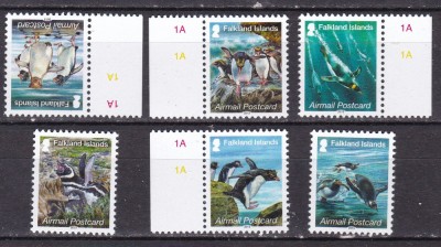 Falkland 2013 fauna pasari MI 1230-1235 MNH foto