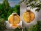 Lanterne solare &amp;quot;Flame&amp;quot; Bambus, set de 2 - 2