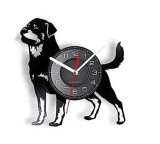 BORDER COLLIE- ceas de perete