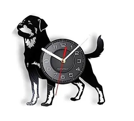 BORDER COLLIE- ceas de perete