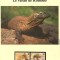 Indonezia 2000 - Dragonul de Komodo,set WWF, 6 poze, MNH (vezi descrierea)