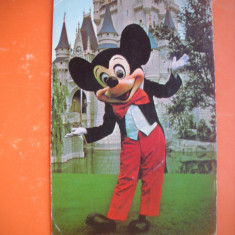 HOPCT 64069 MICKEY MOUSE -DINEYLAND - SUA- STAMPILOGRAFIE-CIRCULATA