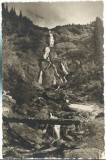 AMS# - FOTOGRAFIE CASCADA SERBOTA NEGOIU, NECIRCULATA