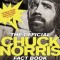 The Official Chuck Norris Fact Book: 101 of Chuck&#039;s Favorite Facts and Stories