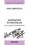 Maternitate in penitenciar. Studiu comparativ Romania-Mexic - Dana Obrinteschi