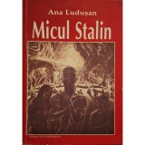 Ana Ludusan - Micul Stalin (Editia: 1999)