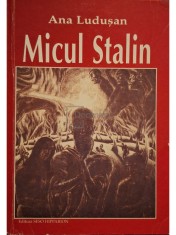 Ana Ludusan - Micul Stalin (Editia: 1999) foto