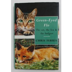 GREEN - EYED FLO - THE CAT , THE FOX and THE BADGERS by CHRIS FERRIS , 1992