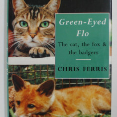 GREEN - EYED FLO - THE CAT , THE FOX and THE BADGERS by CHRIS FERRIS , 1992