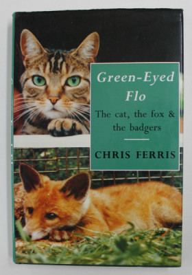 GREEN - EYED FLO - THE CAT , THE FOX and THE BADGERS by CHRIS FERRIS , 1992 foto