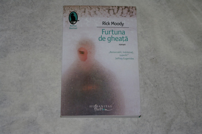 Furtuna de gheata - Rick Moody - 2008