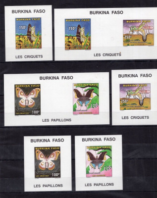 BURKINA FASO 1996 FLUTURI SI INSECTE NEDANTELAT - 100 EURO COTA foto