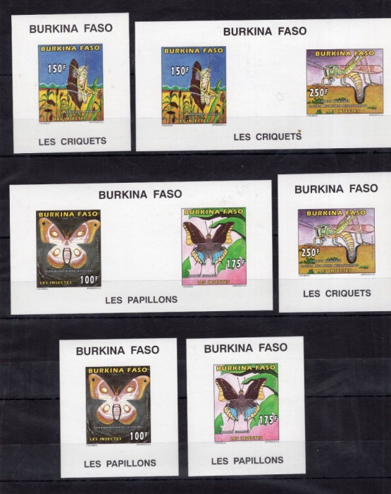 BURKINA FASO 1996 FLUTURI SI INSECTE NEDANTELAT - 100 EURO COTA