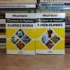 Dictionar Roman-Olandez / Olandez-Roman, Mihail Bichir, 2 Vol., 2004, Semne, 16x12cm