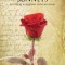 Shakespeare&#039;s Sonnets